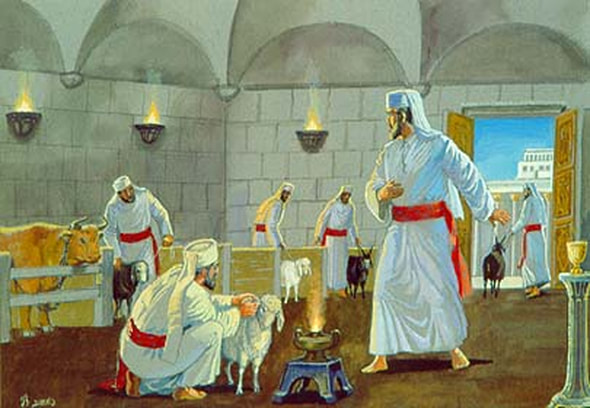 lamb chamber